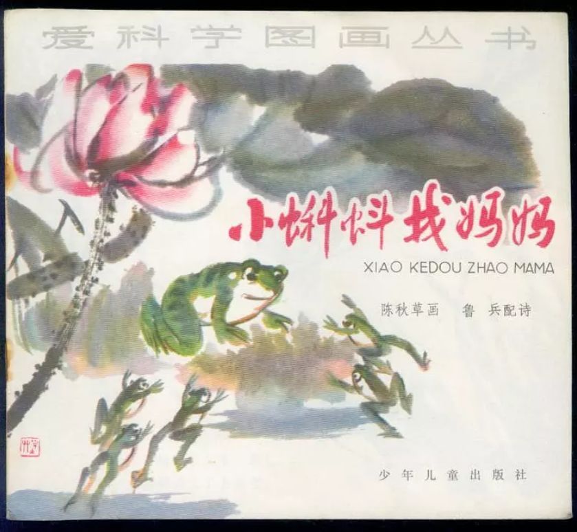 宠物蚕宝宝变成飞蛾,小宠物蚕宝宝