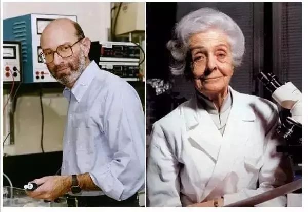 寡肽面膜的危害,寡肽面膜有什么危害