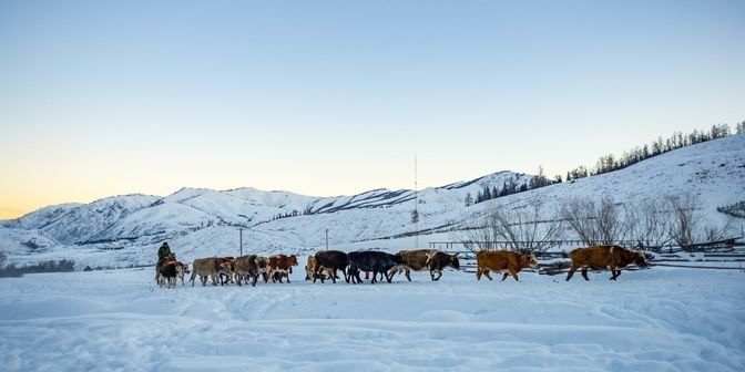 华夏航空国际航线电话,华夏航空库尔勒夏季新开航线