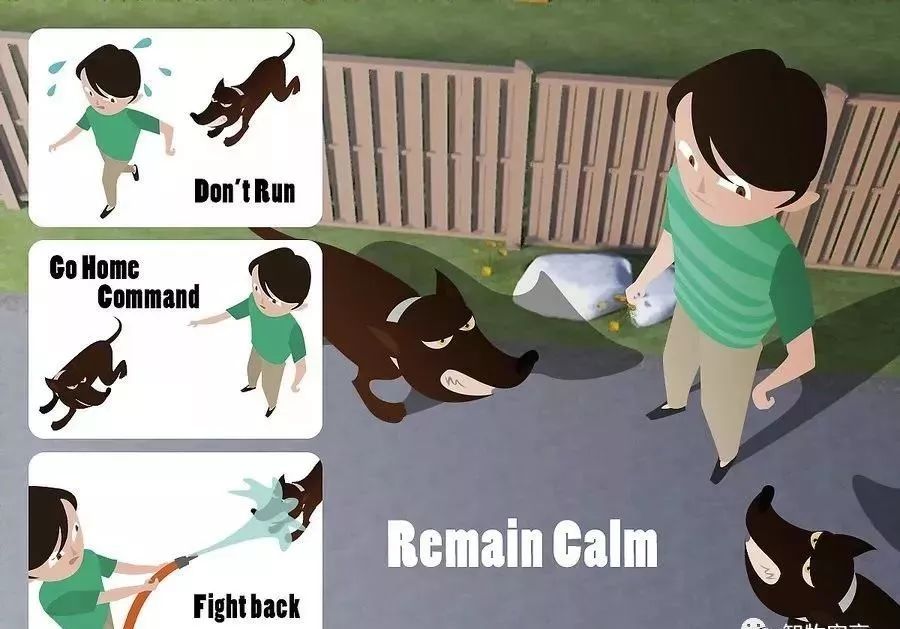 在外遇到恶犬攻击怎么办,如果被恶犬攻击怎么办