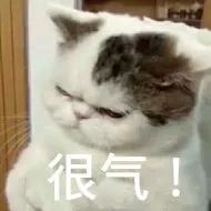 近期天价蔬菜,天价蔬菜一斤多少钱