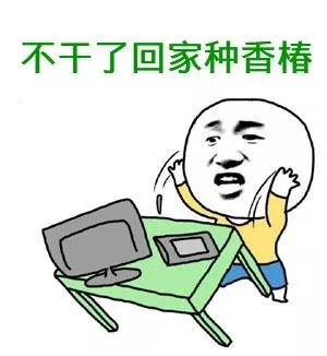 近期天价蔬菜,天价蔬菜一斤多少钱