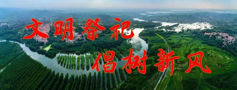 @五莲家长,培训机构年检结果来啦!给孩子选择哪家好?