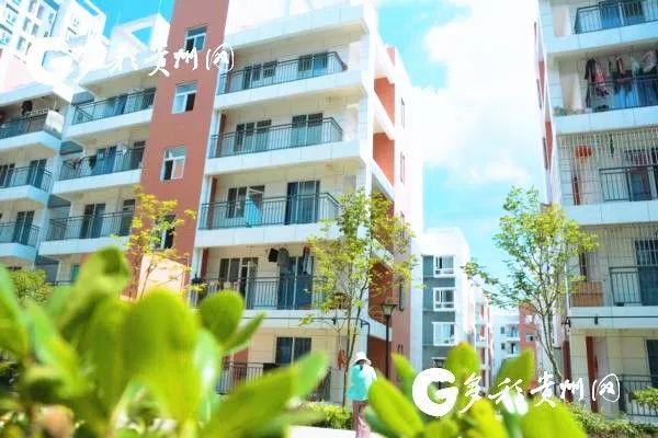 经济连续领跑全福建,贵州经济增速排名全国第一