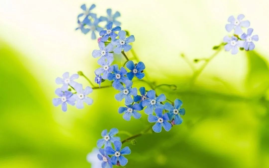 最美的养心诗词,美到心碎最触动心灵的十句诗词