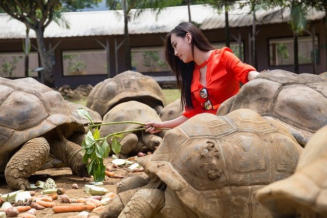 超美媳妇儿与你逃之夭夭大头强小蛮夭毛里求斯蜜月盛典~
