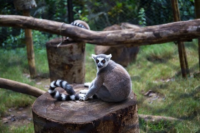 超美媳妇儿与你逃之夭夭大头强小蛮夭毛里求斯蜜月盛典~