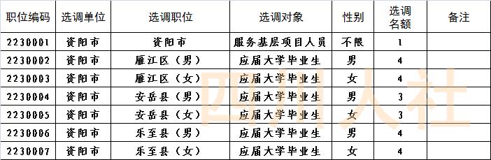 四川省面向基层选调生招考,四川选调报名条件