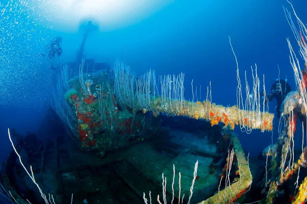 火星pk地球完整视频,火星vs金星