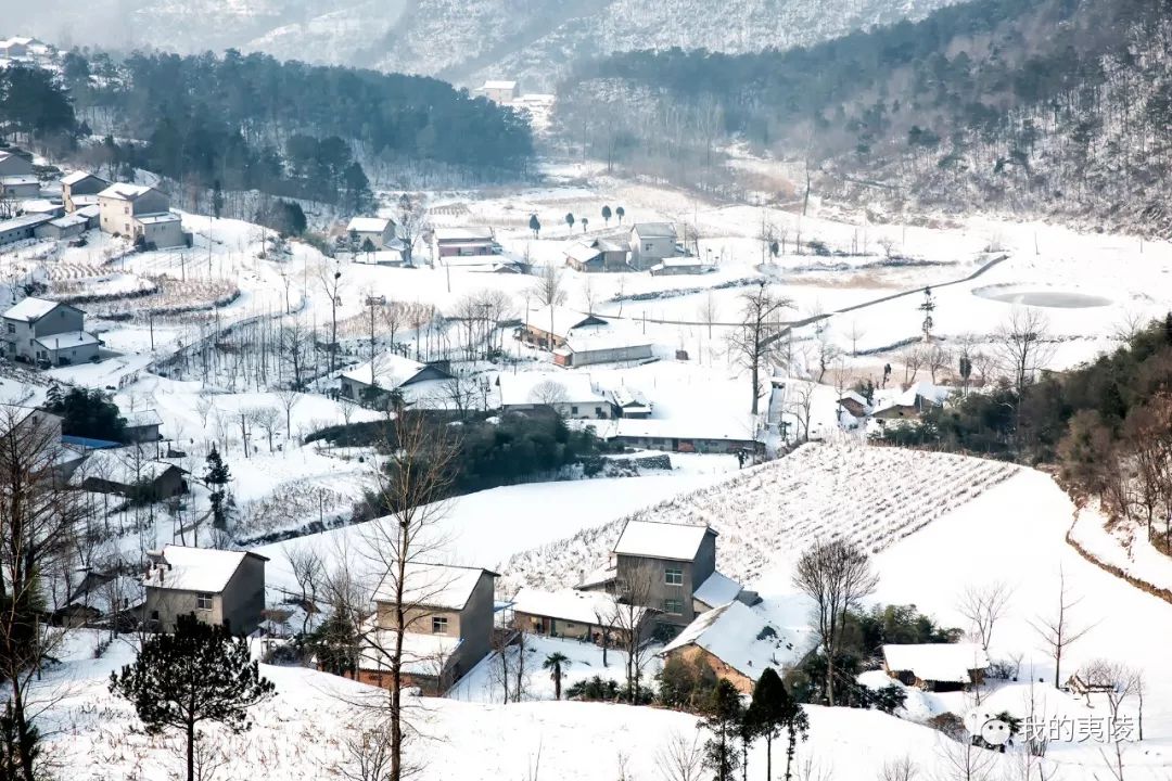 夷陵美|冬去春来~