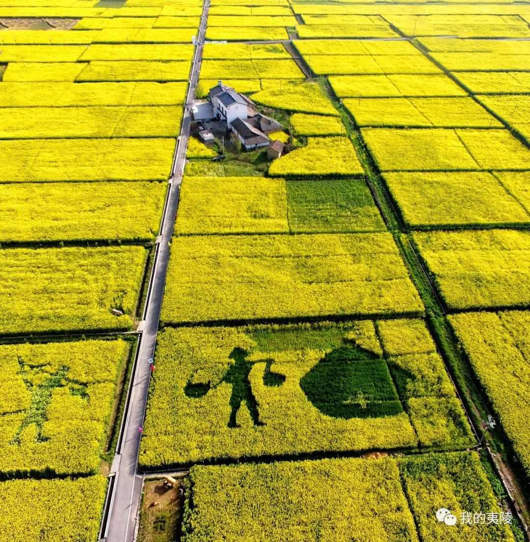 夷陵美|冬去春来~