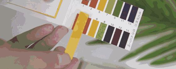 出汗还能留香的沐浴露,出汗都香的沐浴露