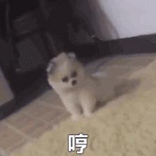 大促攻略,大促的省钱宝典