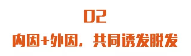 预防脱发和让头发变多的方法,春季脱发吃什么好得快