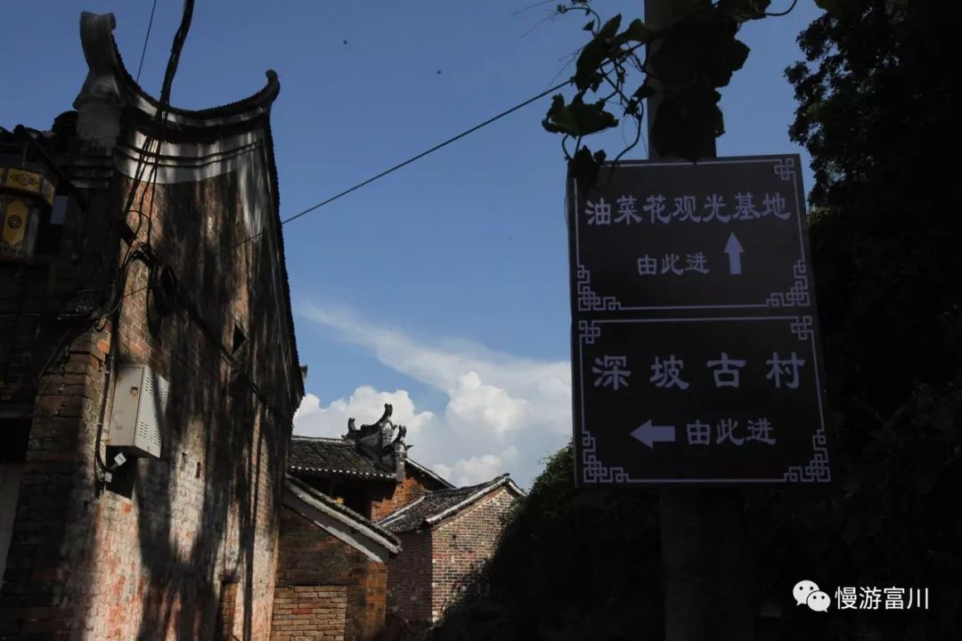 深渡镇旁边拍油菜花最佳位置在哪,深坡花海