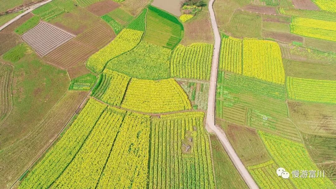 深渡镇旁边拍油菜花最佳位置在哪,深坡花海