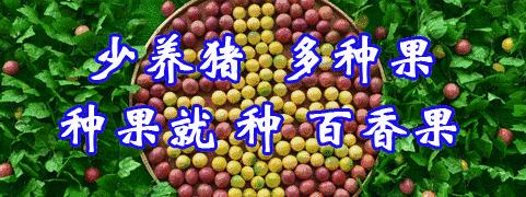 【美文欣赏】武平~我想给你写封信