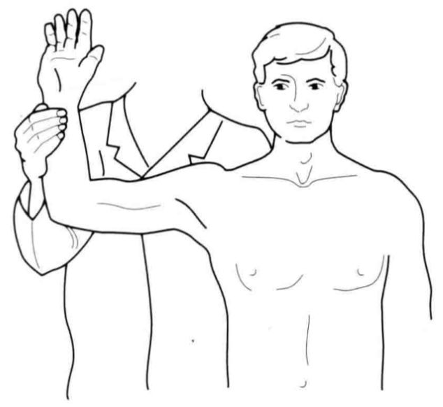 冈上肌放松的正确方法,冈上肌按摩手法