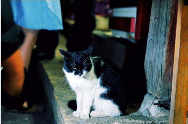 丽江5月中旬雨季,丽江雨季是什么月份