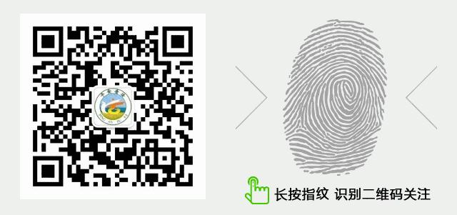 以案说法制假售假必受严惩,网购降血糖药品被骗