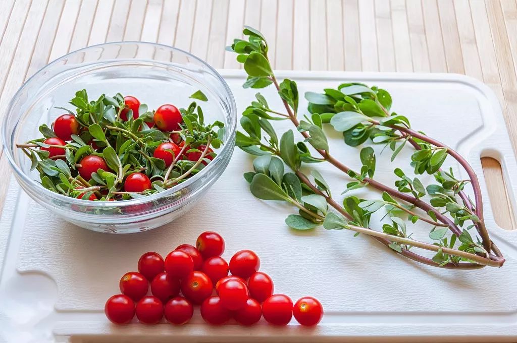 春天十大黄金野菜,中医养生必吃的9种食物