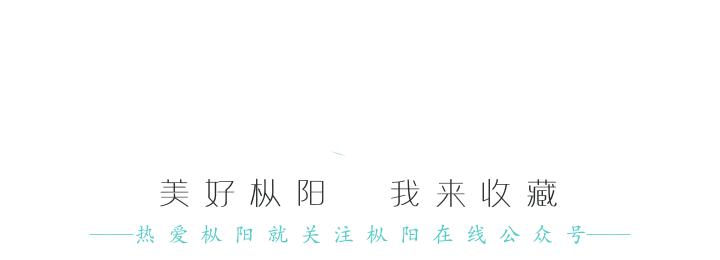 推动四好农村路高质量发展的意见,乡村道路改造最新规划
