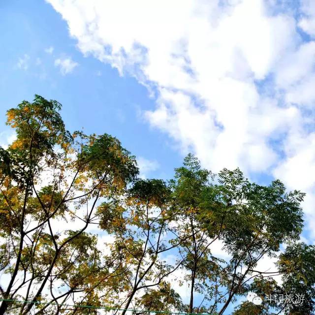 去年一整年，斗门空气质量怎么样？数据来说话！