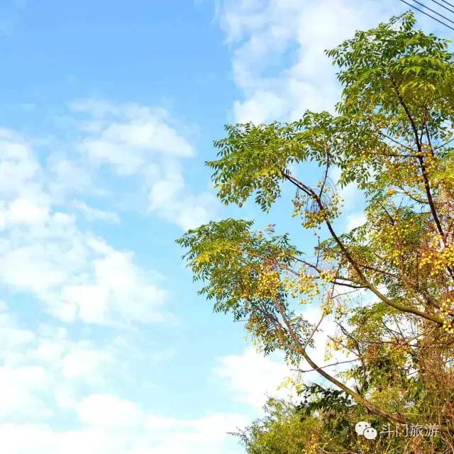 去年一整年，斗门空气质量怎么样？数据来说话！