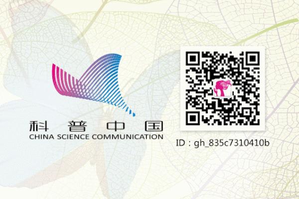 双11活动要懂奥数,没点奥数功底别想玩转双11