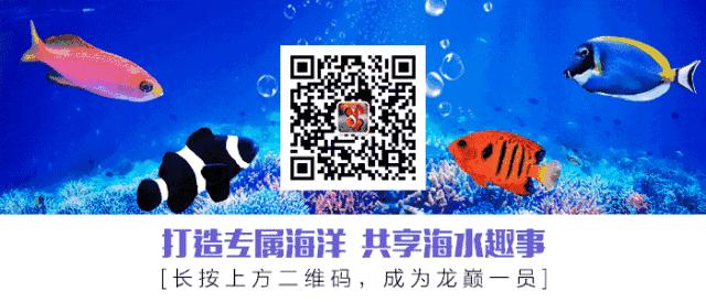 海缸旅游攻略大全,海边怎么玩海缸