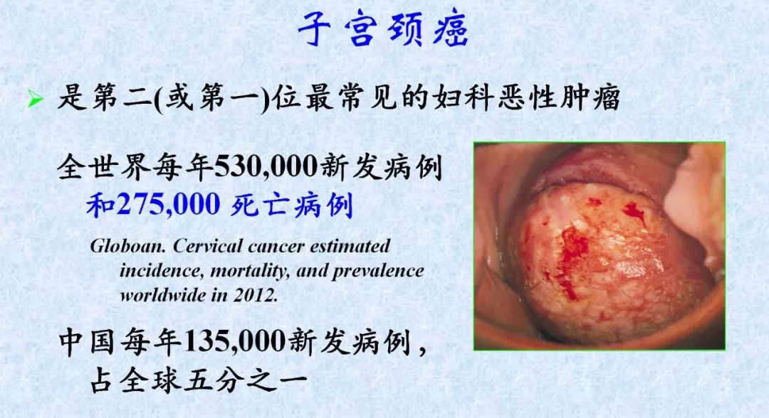 良药苦口大实话,良药苦口忠言
