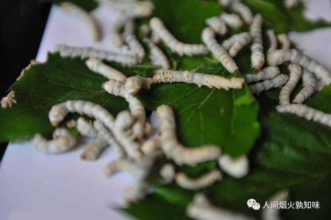 源于蜀地的蚕神马头娘与狮身人面像类似，它带来了丝绸之路的繁荣