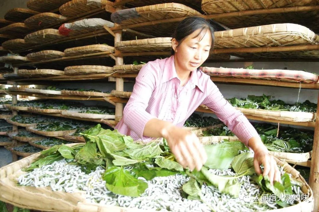 源于蜀地的蚕神马头娘与狮身人面像类似，它带来了丝绸之路的繁荣