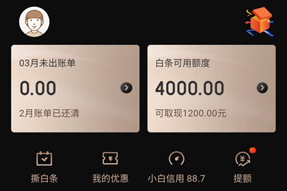 京东白条申请激活不了怎么办,京东白条激活不成功怎么办