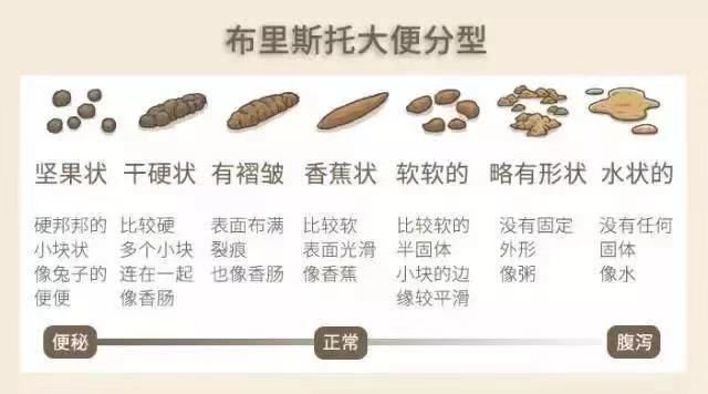 严重便秘调理肠胃的按摩手法,便秘的肠胃调理手法视频