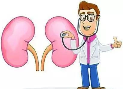 尿液有泡泡会是尿毒症吗,尿液气泡一直不消一定是肾病吗