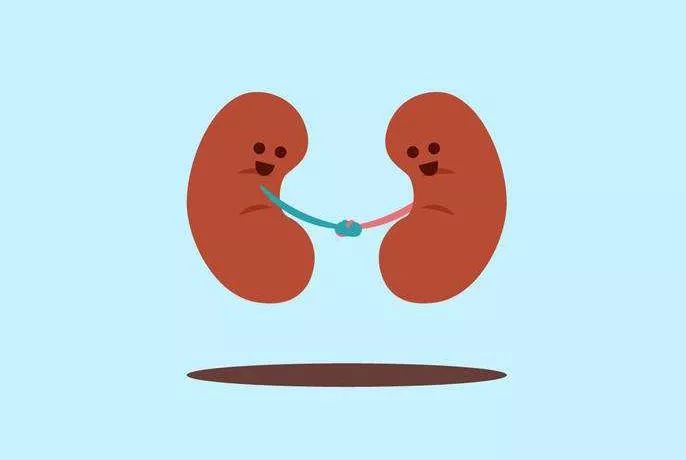 尿液有泡泡会是尿毒症吗,尿液气泡一直不消一定是肾病吗