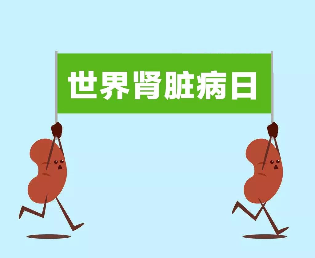 尿液有泡泡会是尿毒症吗,尿液气泡一直不消一定是肾病吗