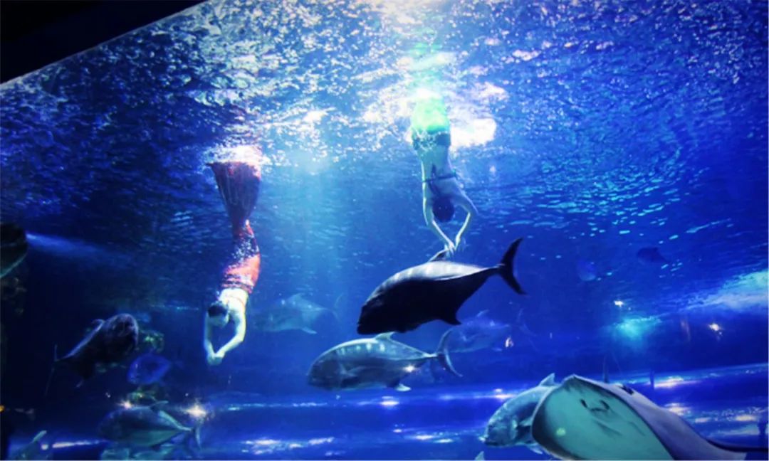 西安1月1日免门票景点,2019陕西西安5.1免门票景区