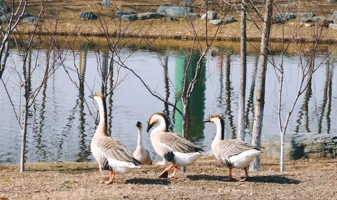 西安1月1日免门票景点,2019陕西西安5.1免门票景区