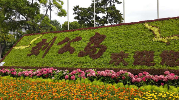 有山有海的威海,去有风的地方青岛威海