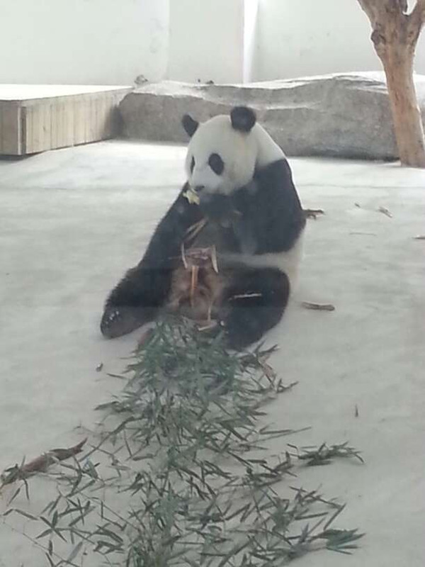有山有海的威海,去有风的地方青岛威海