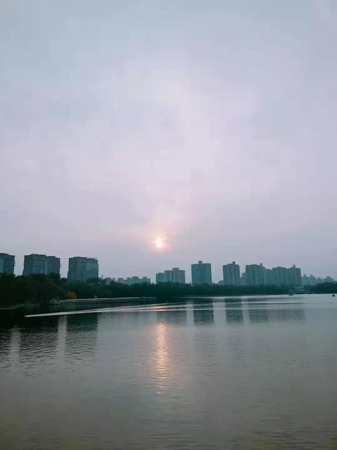 你今天真好看莉兹克里莫,你今天真好看吖