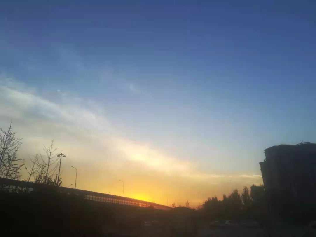 你今天真好看莉兹克里莫,你今天真好看吖