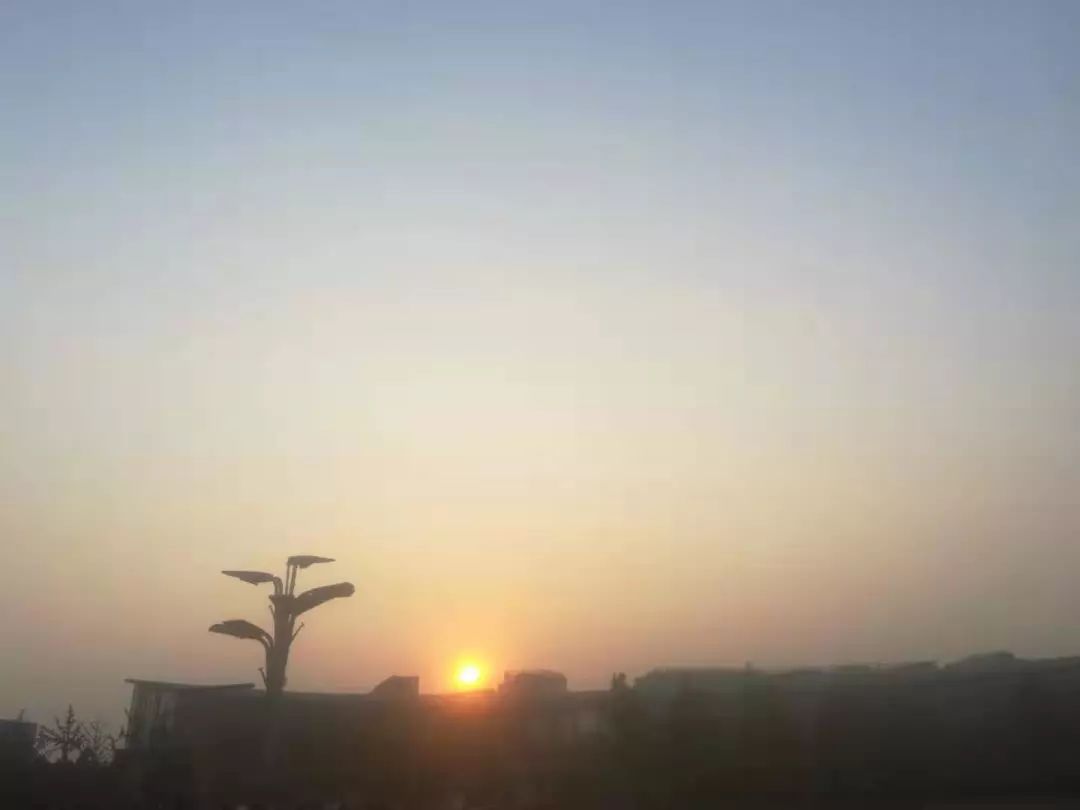 你今天真好看莉兹克里莫,你今天真好看吖