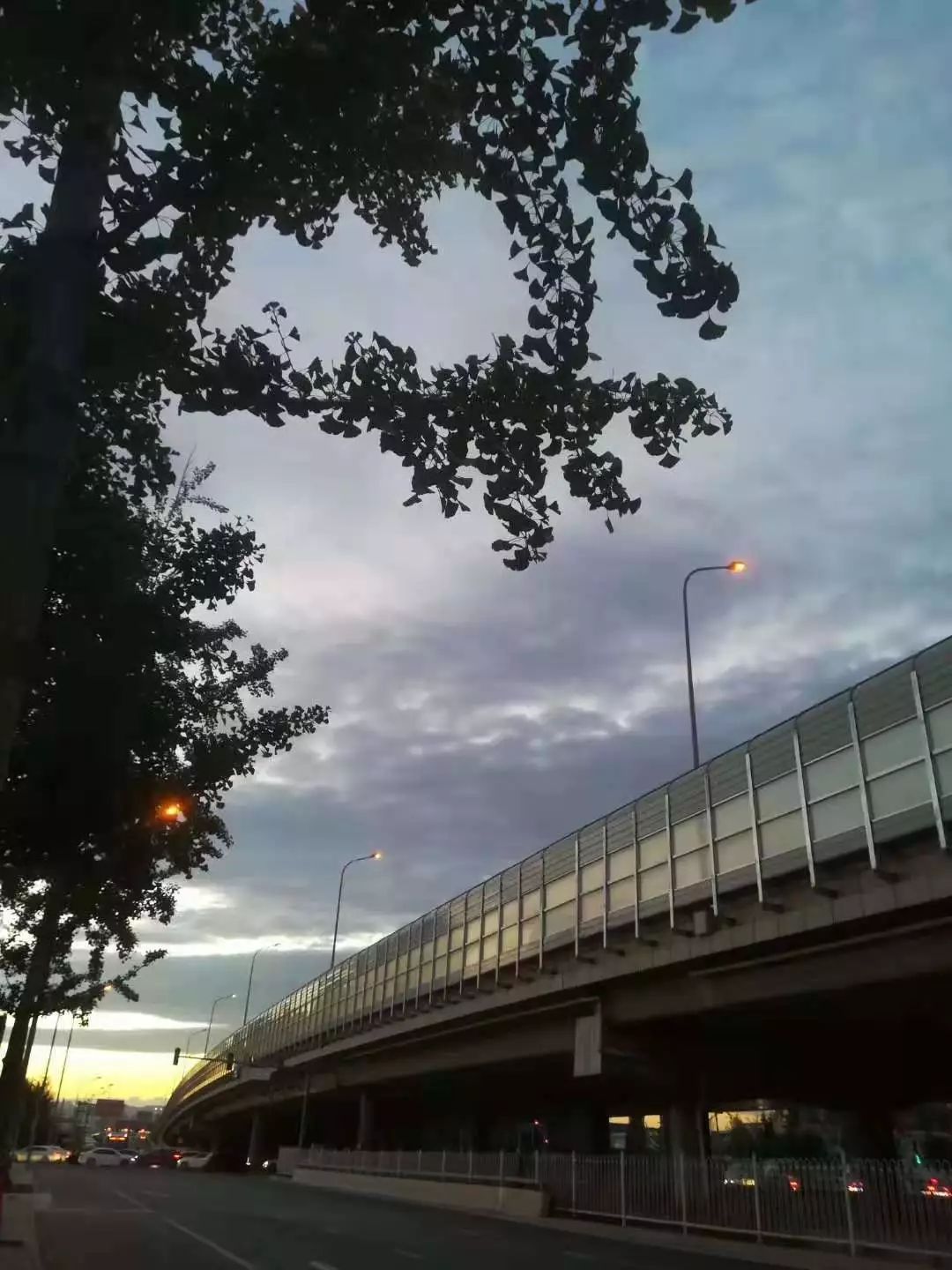 你今天真好看莉兹克里莫,你今天真好看吖