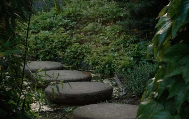 人民日报整理100个最常误用的成语,人民日报总结的常被误用的成语