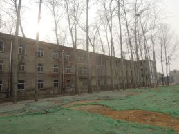 林州林钢,林州林钢图片