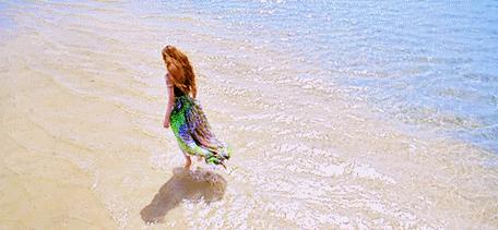 北半球的我突然向往南半球的温暖