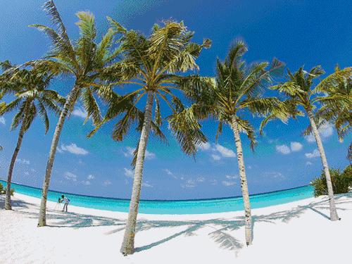 北半球的我突然向往南半球的温暖